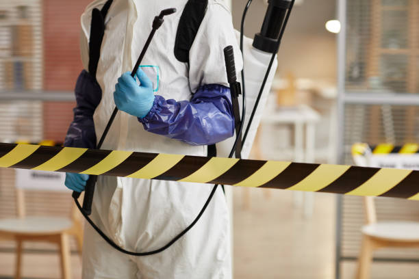 Professional Infectious Disease Decontamination technician working in Angwin, CA
