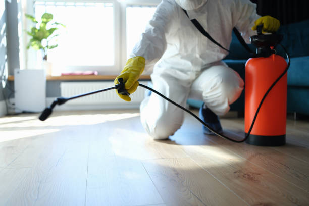 Reliable Infectious Disease Decontamination contractor in Angwin, CA by Trauma Clean Pros